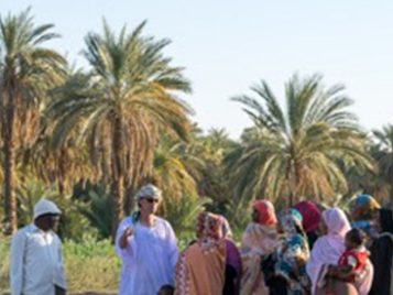 Seed Grant: Geoff Emberling (U-M) and Abbas Sidahmed Mohamed-Ali 