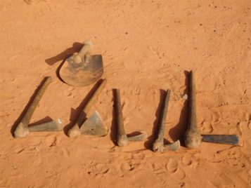 Seed Grant: Jeffrey Heath (U-M) 