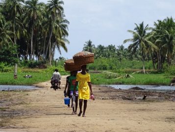 Seed grant: Omlade Adunbi (U-M) and Babajide O. Ololajulo (U of Ibadan) 