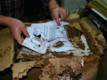 Seed Grant: Derek Peterson (U-M) 