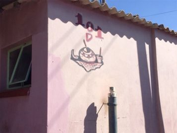 Seed Grant: Judith Irvine (U-M) and Liz Gunner (U Johannesburg) 