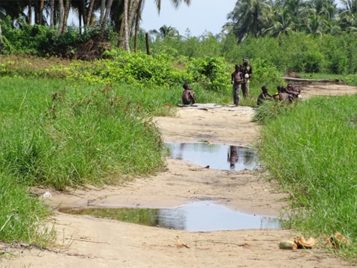 Seed grant: Omlade Adunbi (U-M) and Babajide O. Ololajulo (U of Ibadan) 