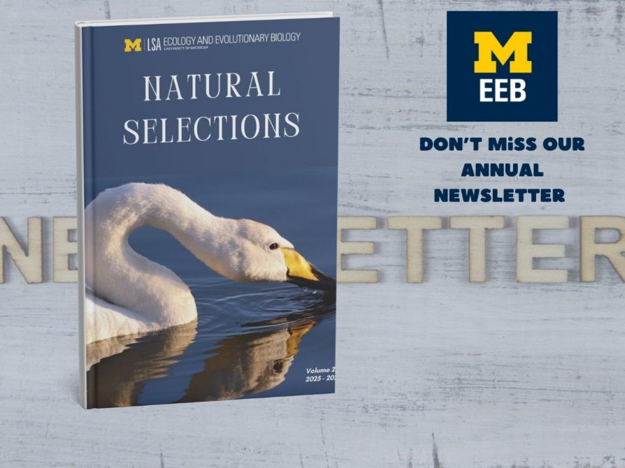 Read/ Download the latest issue here 