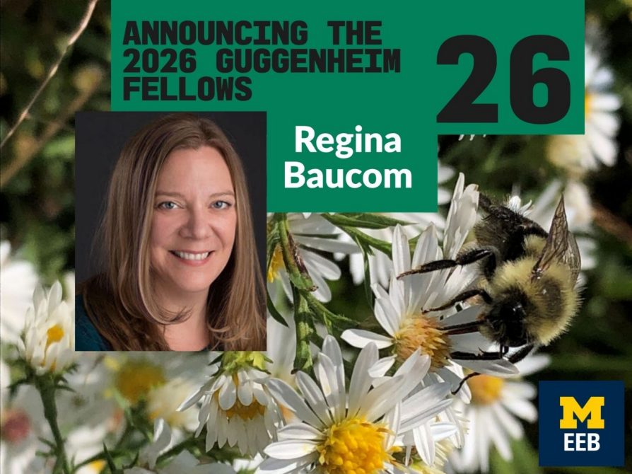 Congratulations to EEB Professor Gina Baucom for the prestigious Guggenheim Fellowship!  