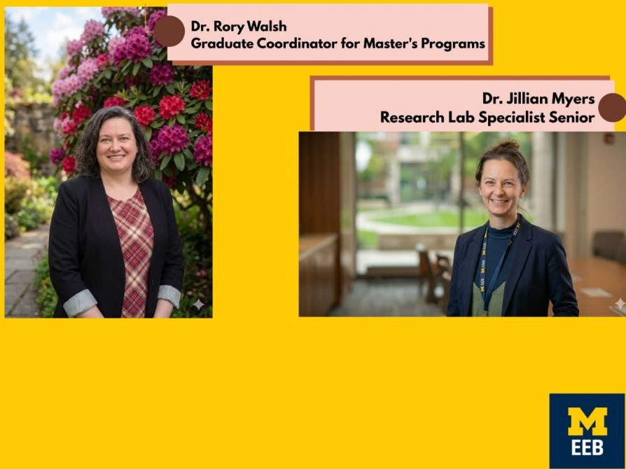 Jill Myers and Rory Walsh show the value of staff mentorship as part of a healthy academic ecosystem. They help students formulate ideas, use resources, recover from failure, build community, and keep going. 