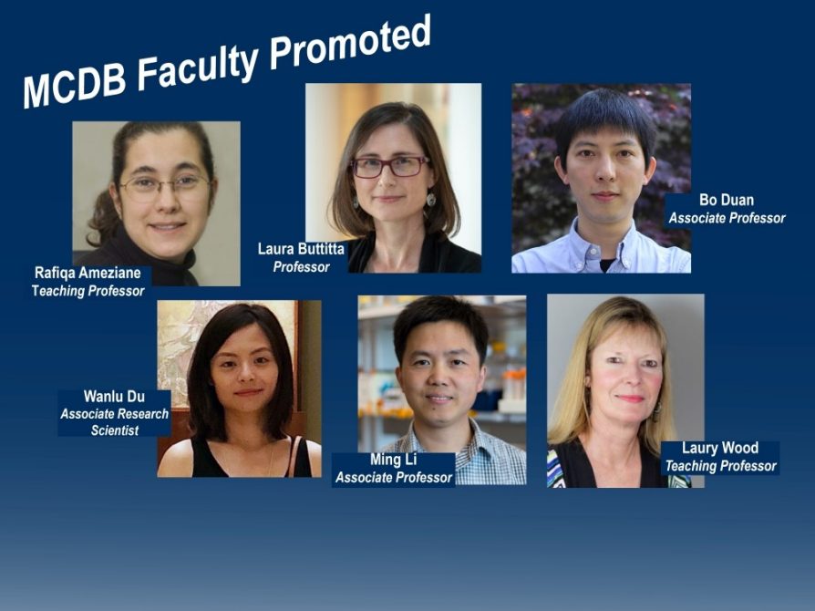 Faculty promoted in 2023 