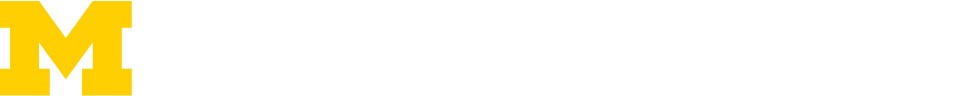 Digital Studies Institute