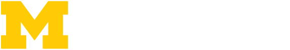 Michigan in Washington Program
