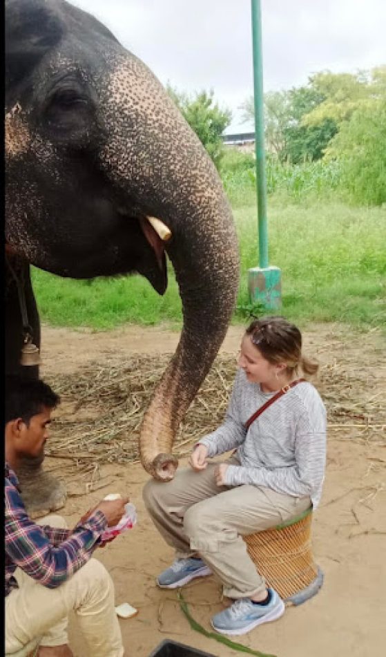 Two individuals sitting on the ground with an elephant standing above them