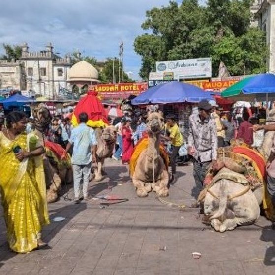 A bustling Indian market with camels, colorful stalls, people, and signs like "Saddam Hotel" amid lively, vibrant activity.