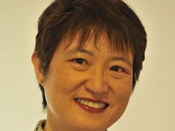 Ann C Lin