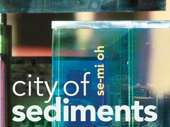 City of Sediments--A History of Seoul in the Age of Colonialism