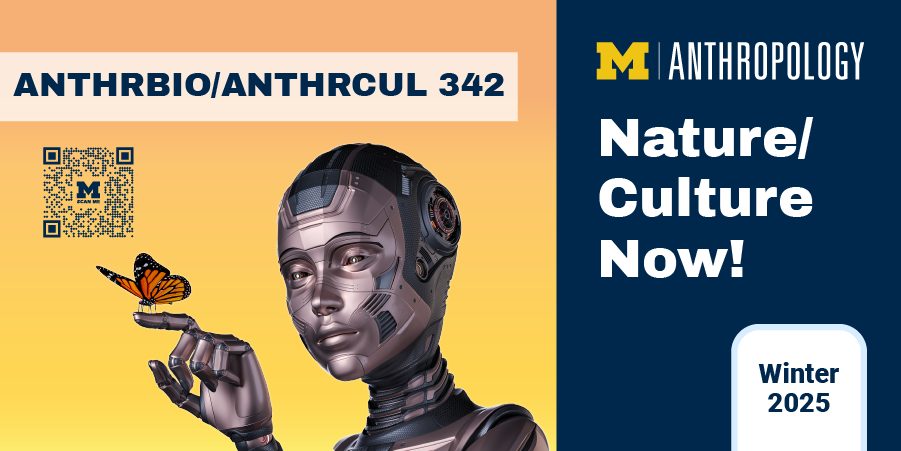 Image features a robot gazing at a butterfly. Course title: ANTHRBIO/ANTHRCUL 342, Nature/Culture Now!