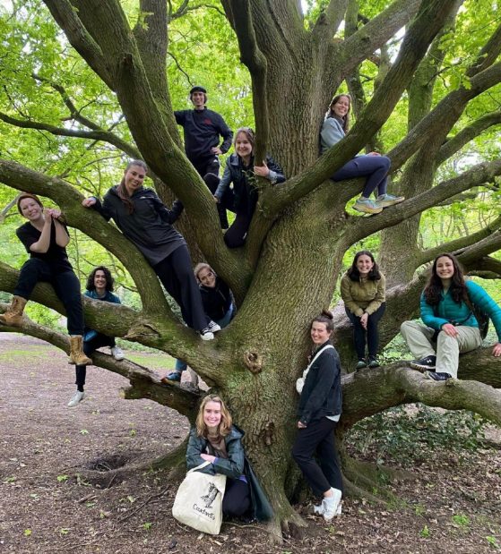 GCC students perch for a photo amid a large, many-branched tree in Hampstead Heath, London.