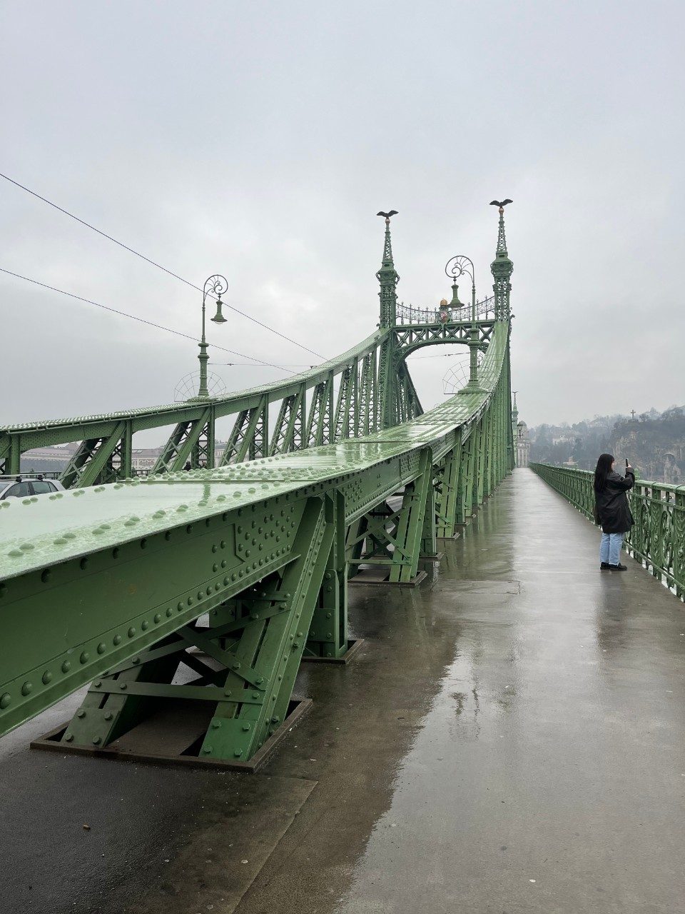 Scenic view of green metal bridge on a misty day in Budapest, Hungary.