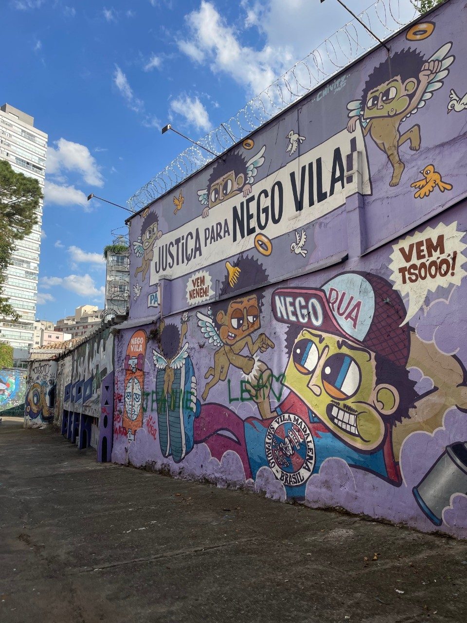 Street Mural of Brazil's Silent Crisis 