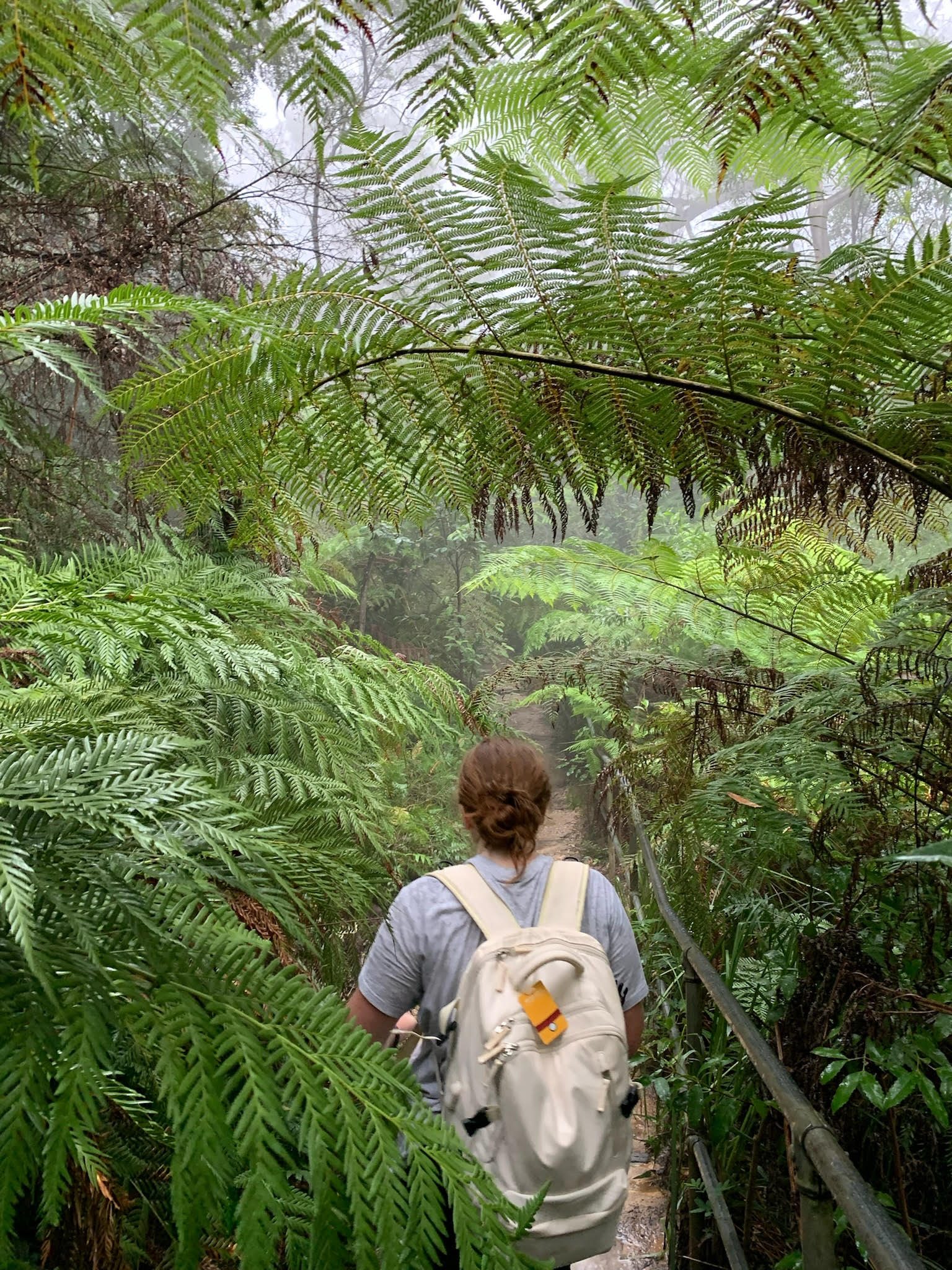 Hiking in the Blue Mountains