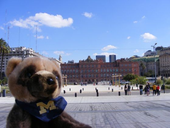 UMich bear in Buenos Aires