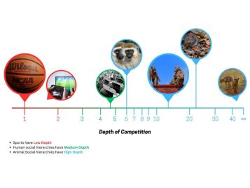 New research from the University of Michigan has introduced a metric that can quantify the depth of all sorts of competitions, including sports and video games, but also more social "contests," including university rankings and animal hierarchies, or pecking orders