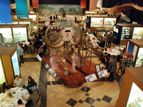 A bird's eye view of the party at the Museum of Natural History among the mastodons. 