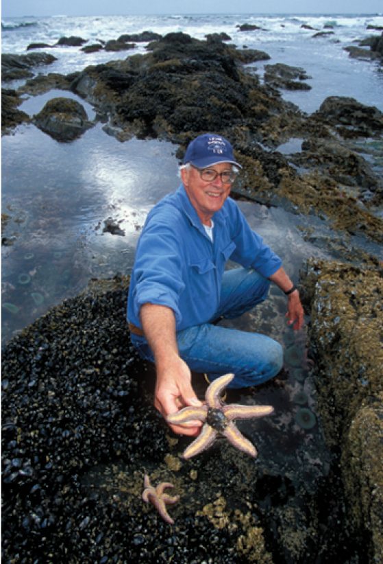 Robert Paine at Mukkaw Bay, on the Olympic Peninsula in Washington. To understand the role of predatory starfish, he hurled them from an area and later returned to assess the sea life without them. Image credit: Kevin Schafer, Alamy Stock Photo, Nautilus