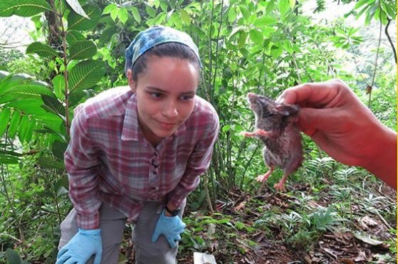 Beatriz Otero Jimenez engaged in her research in Chiapas, Mexico. Image credit: Michigan News International.