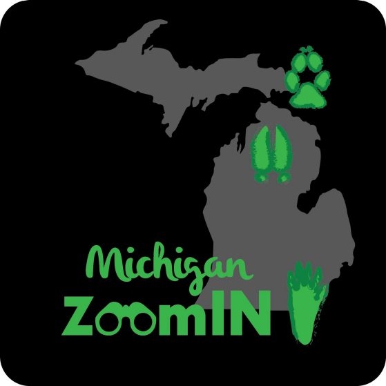 Michigan ZoomIn logo