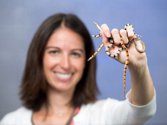Alison Davis Rabosky slightly blurred in background, holding a handful of snakes. Image credit Michigan Photography