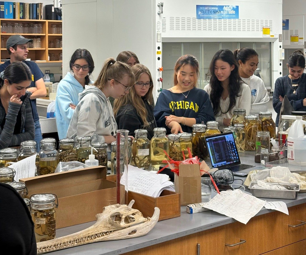 Students explore the specimen in the Museum of Zoology