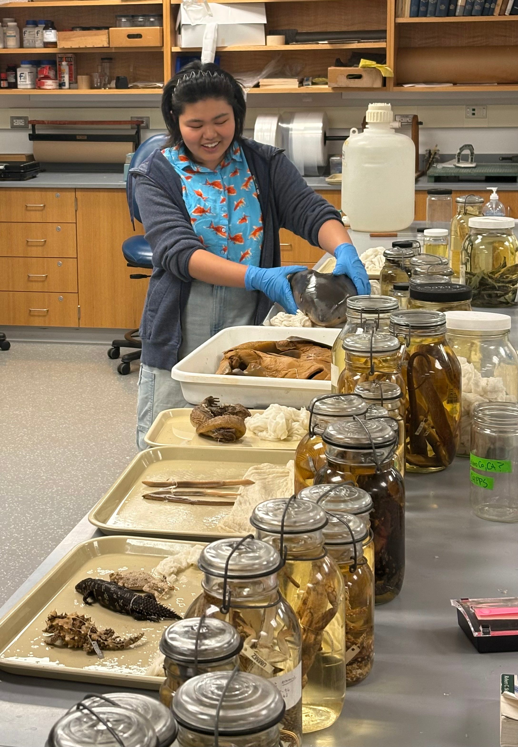 Student handling specimens in RMC