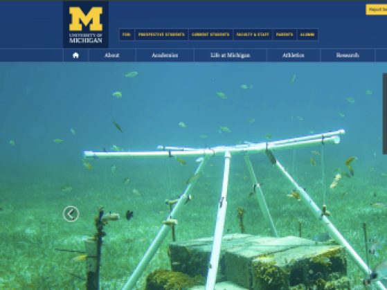 Screenshot of the page