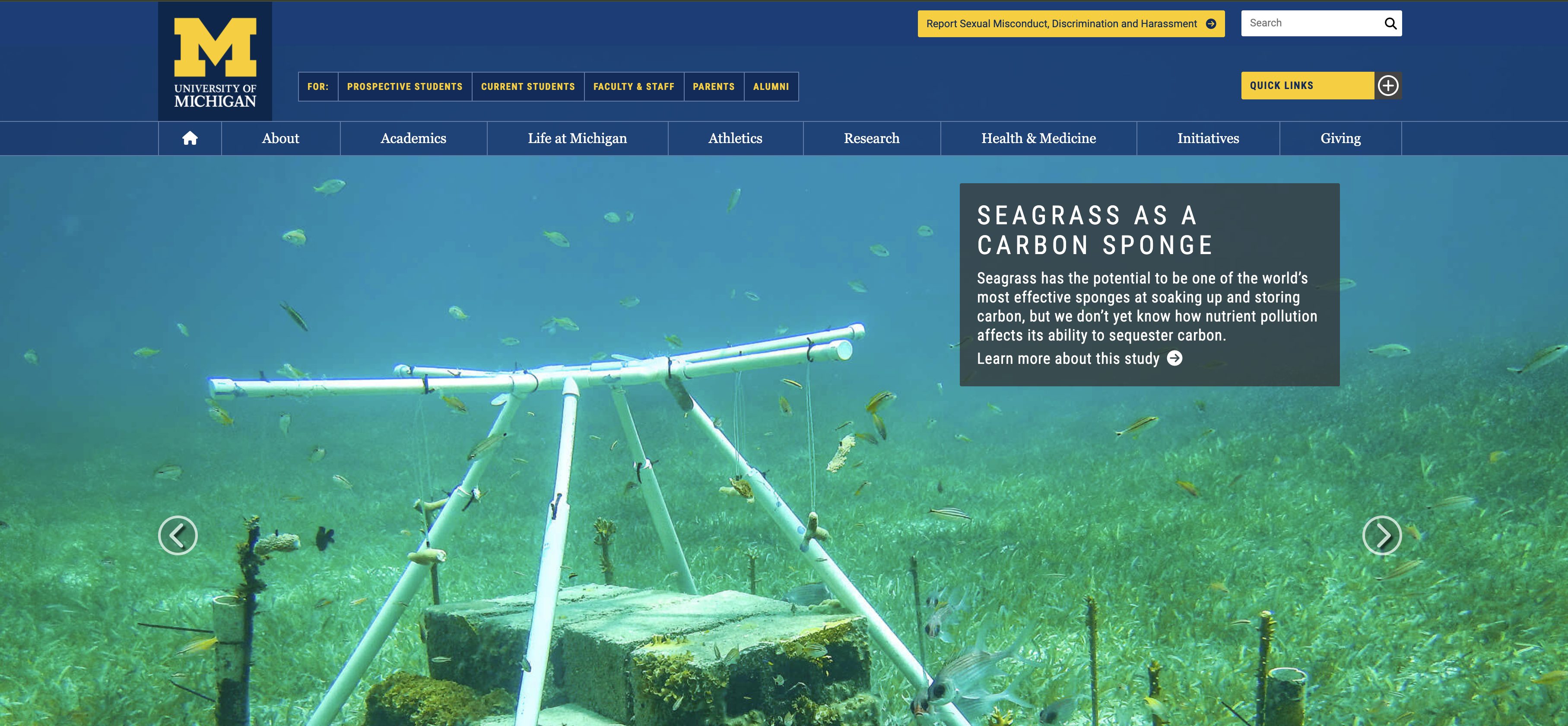 Screenshot of the page