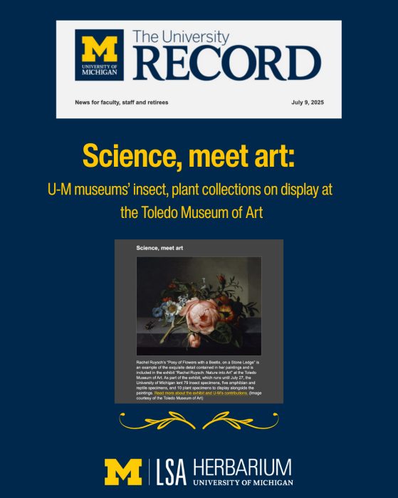 Science meet art