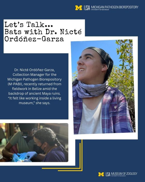 Dr. Nicté Ordóñez-Garza