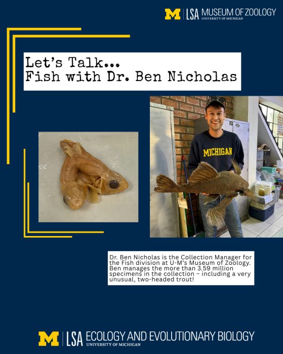 Let's talk fish with Ben Nicholas