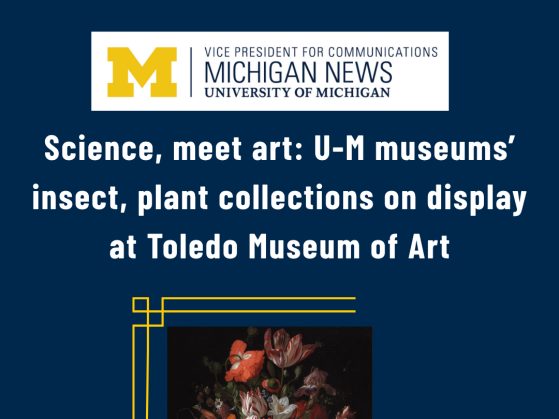 Science, meet art: U-M museums’ insect, plant collections on display at Toledo Museum of Art