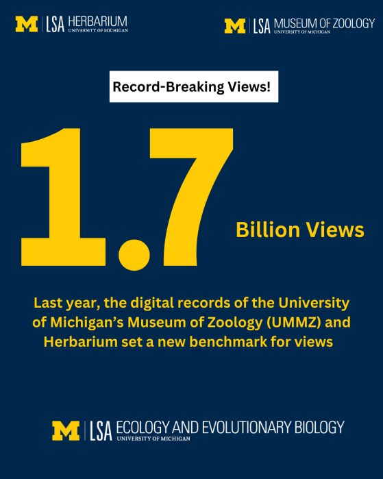 1.7 billion views
