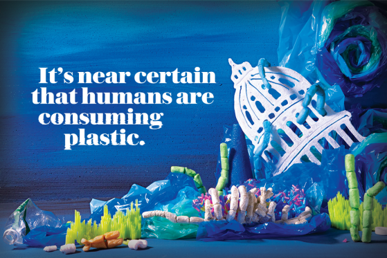 It’s near certain that humans are consuming plastic.