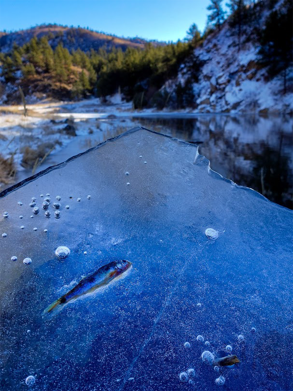 photo of a frozen river