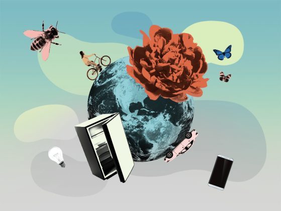 A collage of Earth, a car, a phone, a flower, bees, butterflies, a fridge, and a person riding a bicycle.