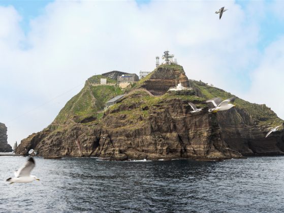 A picture of Dokdo/Takeshima island that shows sheer cliff rising from the water and a grassy area on top. You can also see build structures, including the helipad and a house. Seagulls are flying in the foreground.