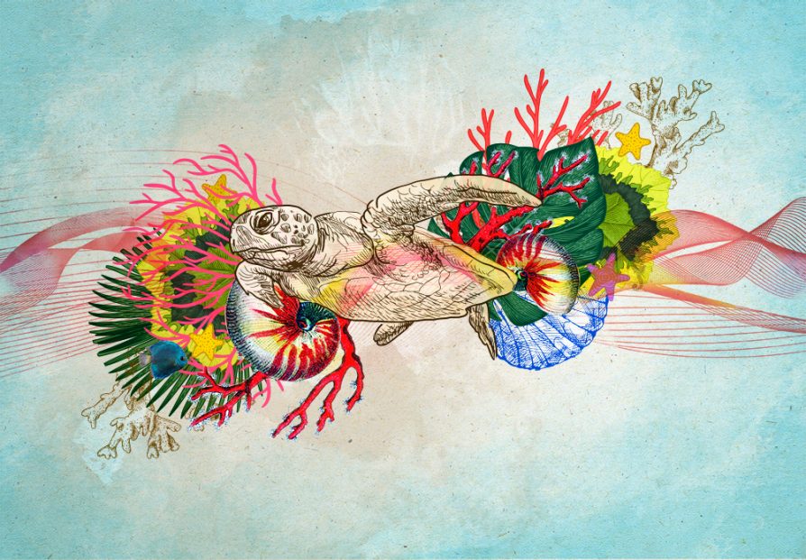 An illustration of a turtle sketched in black and white swimming from colorful burst of coral, starfish, and plants.