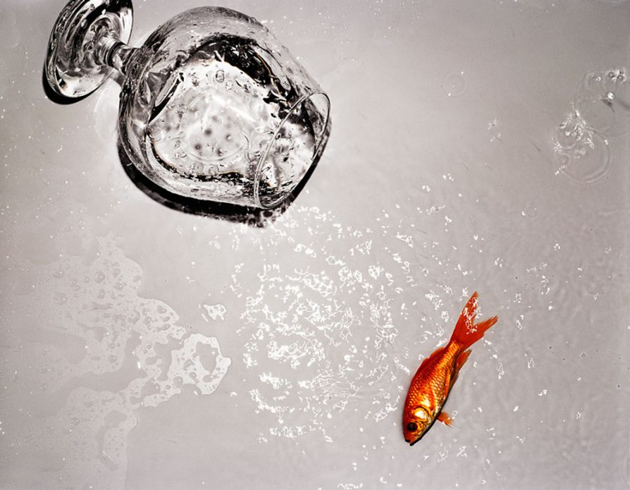 A water glass with a goldfish knocked over
