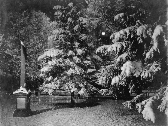 a black and white photo of a pillar monument against a backdrop of evergreen trees