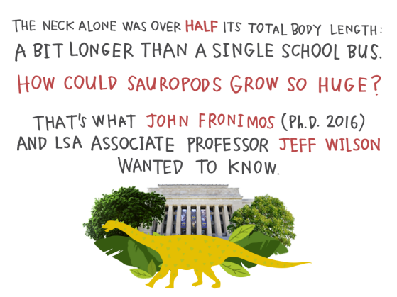 The neck alone was over half its total body length: a bit longer than a single school bus. How could sauropods grow so huge? That’s what John Fronimos (Ph.D. 2016) and LSA associate professor Jeff Wilson wanted to know.