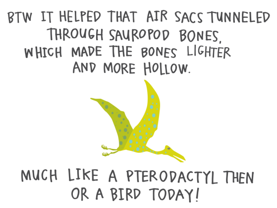 BTW it helped that air sacs tunneled through sauropod bones, which made the bones lighter and more hollow. Much like a pterodactyl then or a bird today!