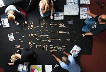 Anthropologists looking over fossilized skeleton pieces spread across a black cloth