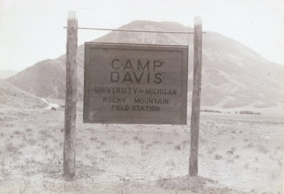 Black-and-white photograph of a Sign that says Camp Davis University of Michigan Rocky Mount Field Station