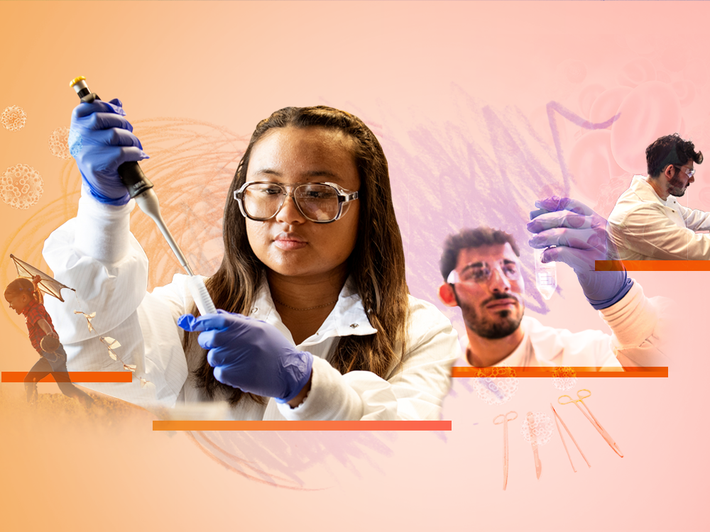 An image collage includes a drawing of a child flying a kite, a photo of a student using a pipette in a cancer research laboratory, and two photos of a student working in a cancer research laboratory.