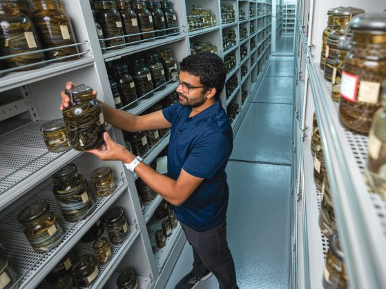Researcher Ramon Nagesan prepares to scan specimens